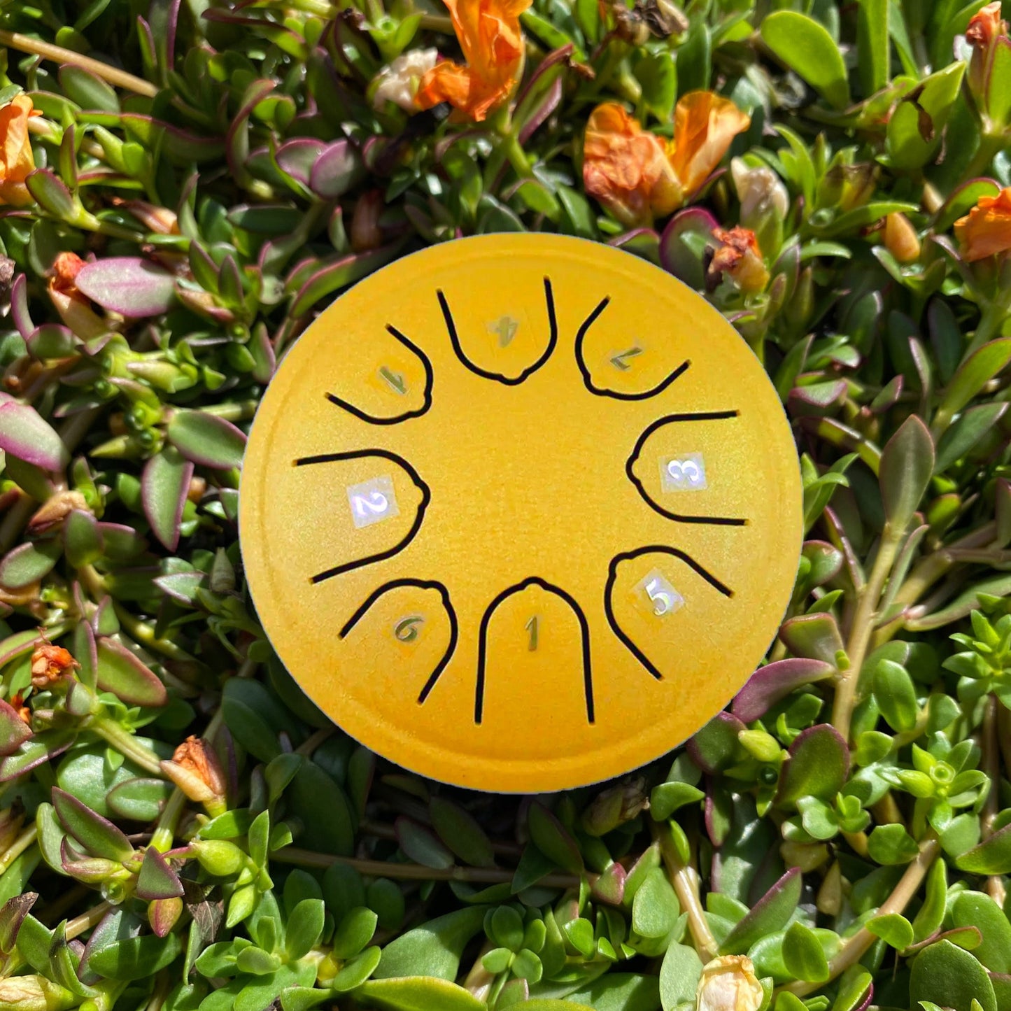 Zen Drum™ 4.5" 8 Notes