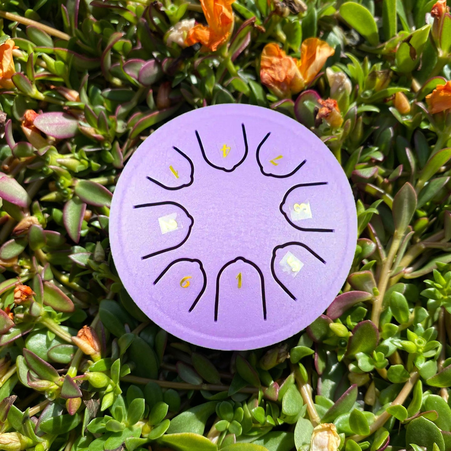 Zen Drum™ 4.5" 8 Notes
