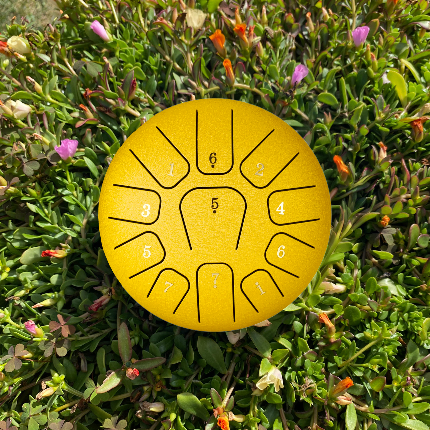 Zen Drum™ 6" 11 Notes