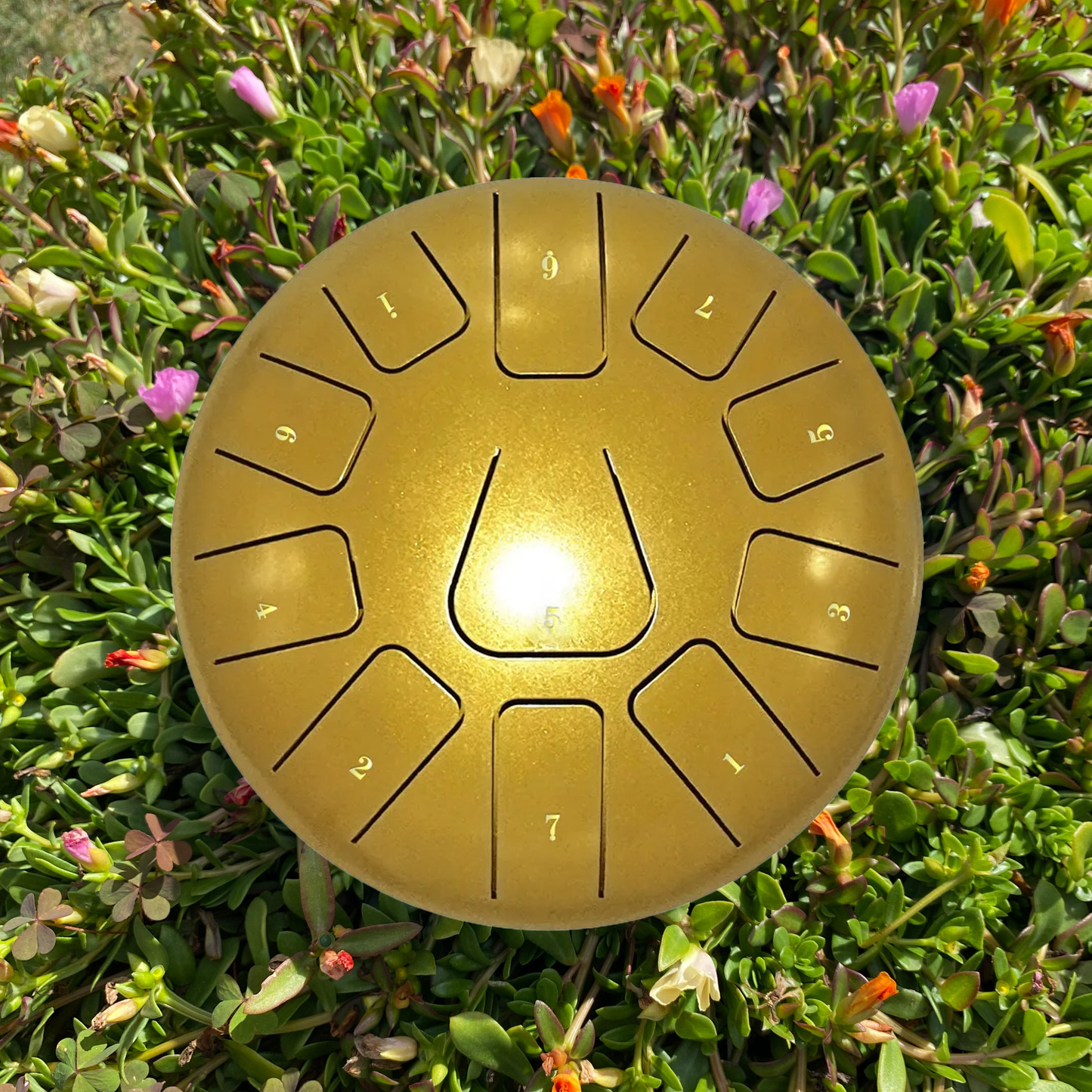 Zen Drum™ 8" 11 Notes