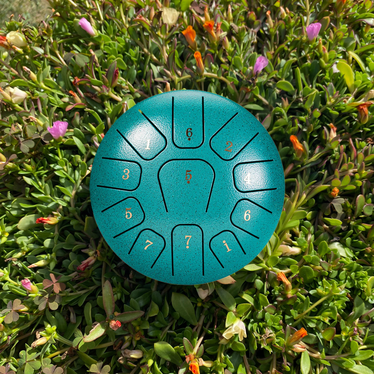 Zen Drum™ 6" 11 Notes