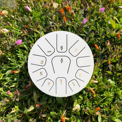 Zen Drum™ 6" 11 Notes